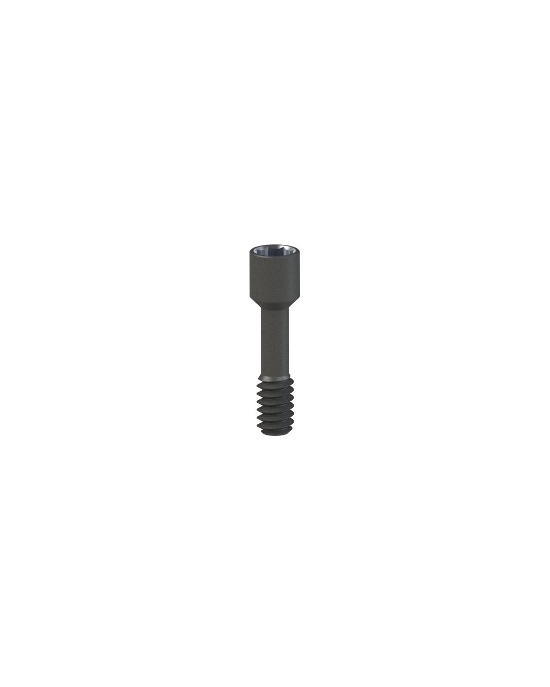Screws compatible with Klockner® Vega®