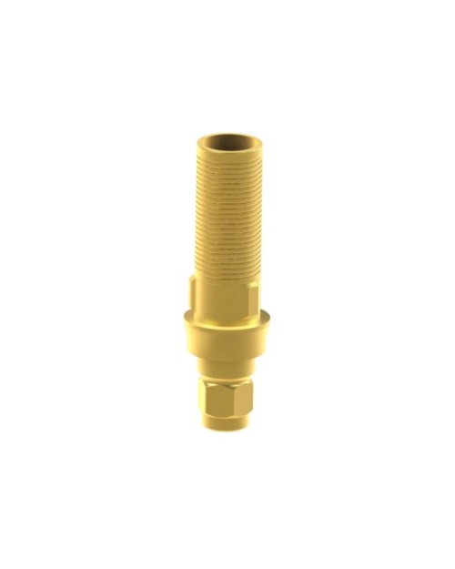 Custom Ti-Base compatible avec Dentsply® Xive® Friadent®