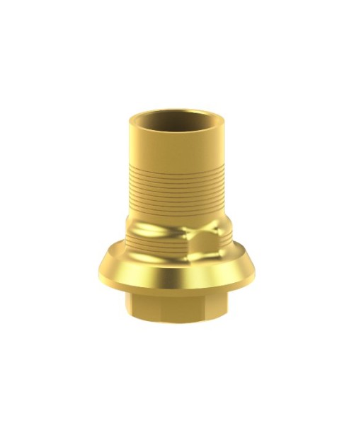 Hollow Ti-Base compatible with Zimmer® SwissPlus®