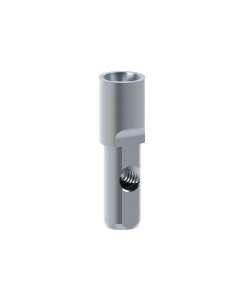 Analogue compatible avec Biotech® Dental Kontact®