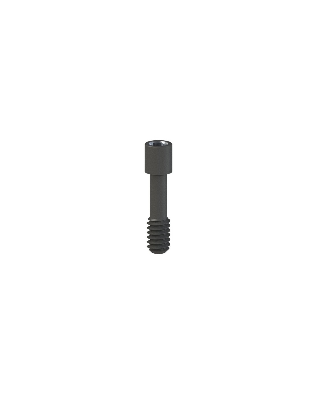 Screws compatible with Zimmer® SwissPlus®