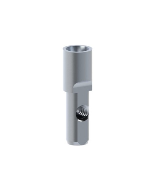 Analogs compatible with Neodent® Gran Morse® GM