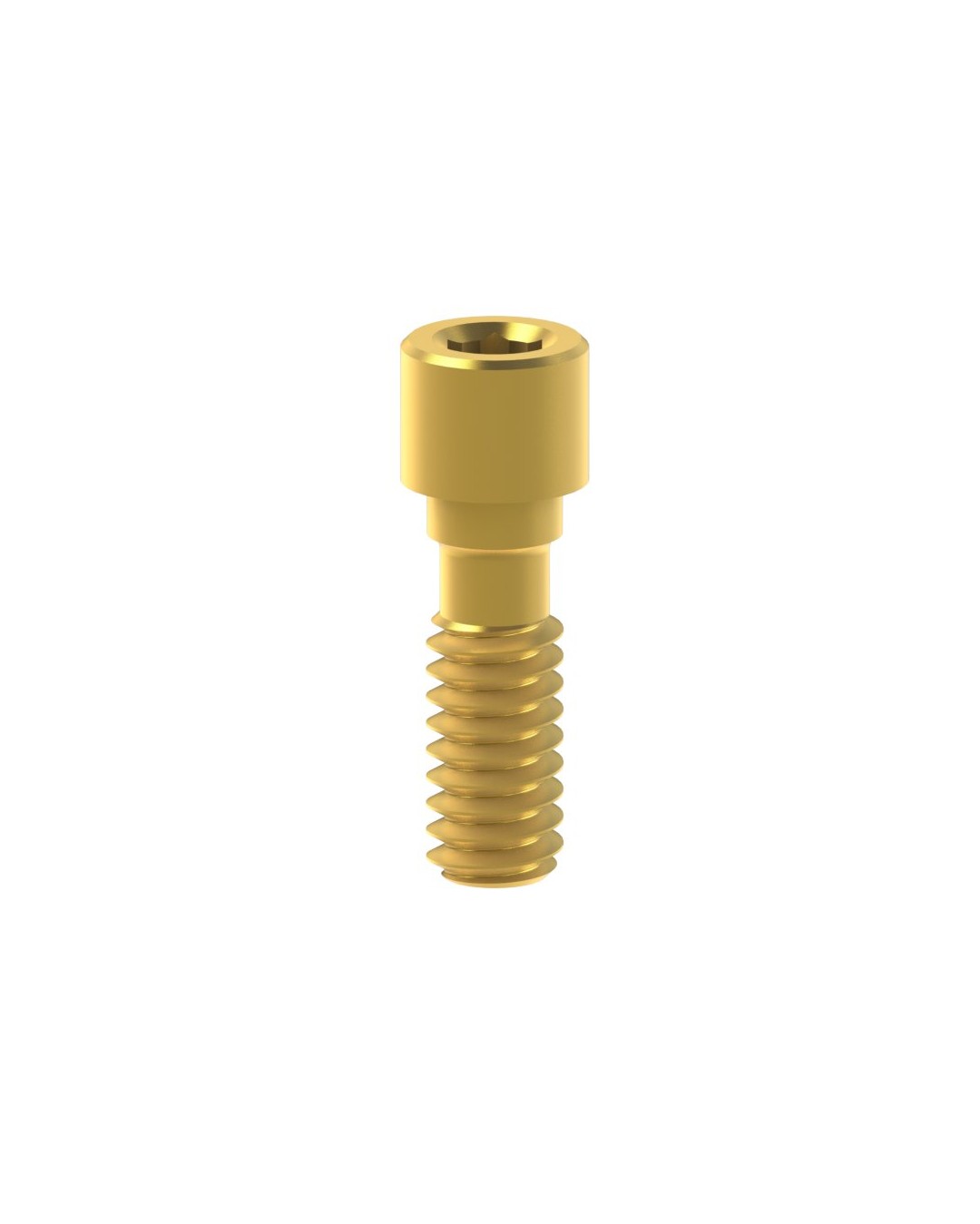 Titanium Screw compatible with BTI® Interna