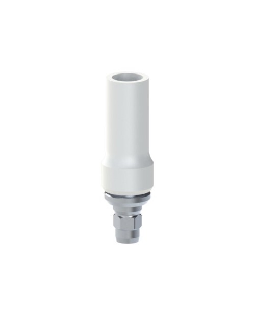 Co-Cr Base with castable compatible with Dentsply® Xive®...